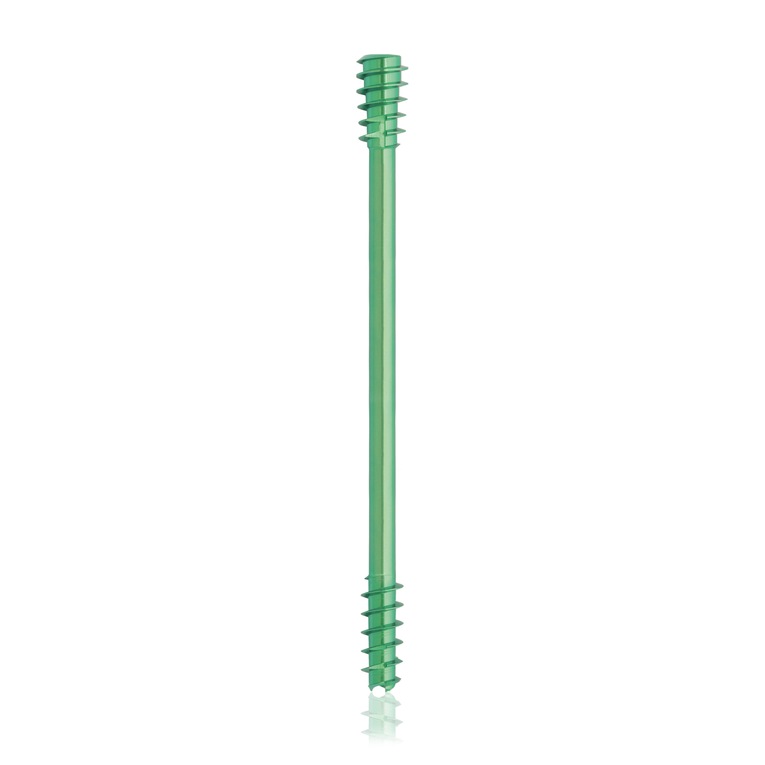 L = 55mm